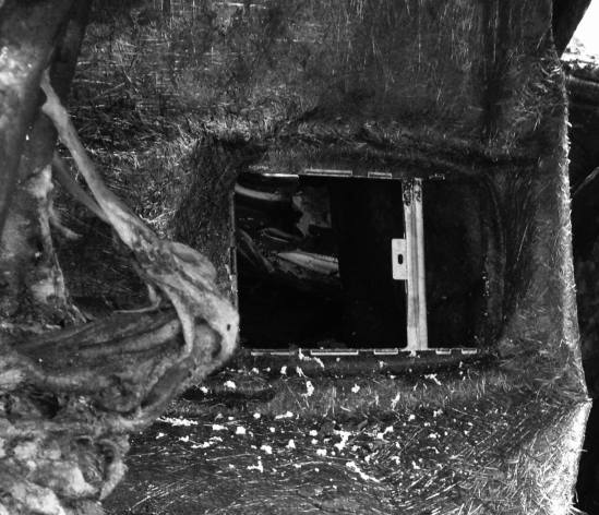 12699233_849057665220134_1047613304_o